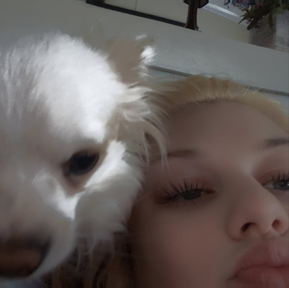 Meet your Posher, Lily